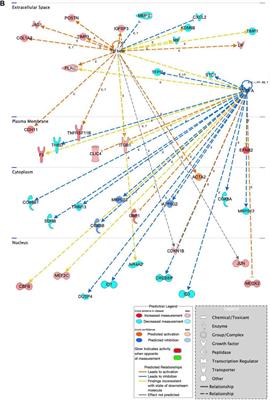 Salmonella enhances osteogenic differentiation in adipose-derived mesenchymal stem cells